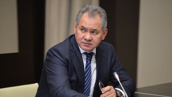 Russian Defense Minister Sergei Shoigu - Sputnik Brasil