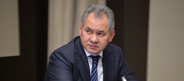 Russian Defense Minister Sergei Shoigu - Sputnik Brasil