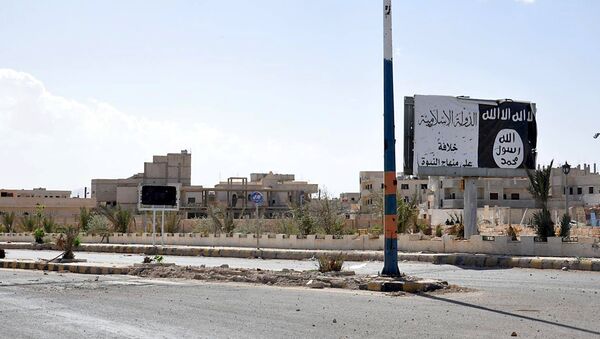 A billboard (R) belonging to the Islamic State fighters erected along a road, is pictured after forces loyal to Syria's President Bashar al-Assad recaptured Palmyra city, in Homs Governorate in this handout picture provided by SANA on March 27, 2016 - Sputnik Brasil