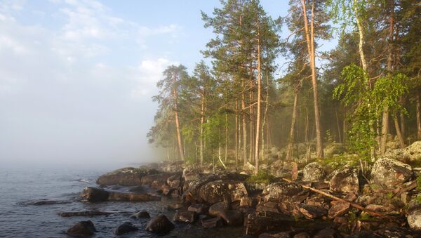 Dawn over Lake Onega in the Republic of Karelia, Russia. - Sputnik Brasil