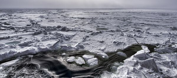 Ártico Ártico - Sputnik Brasil
