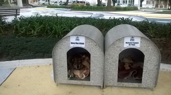 Casinhas de cachorro do projeto Ajude Um Animal De Rua, em Lages, Santa Catarina - Sputnik Brasil