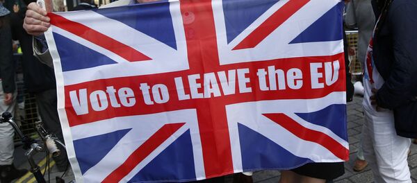 Partidario del Brexit - Sputnik Brasil