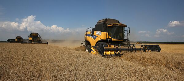 A safra na região de Krasnodar A safra na região de Krasnodar - Sputnik Brasil