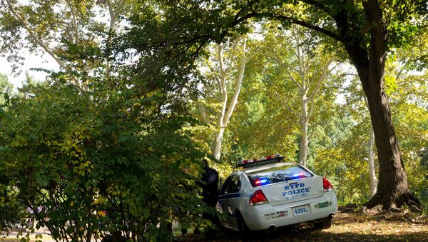 New York City - Central Park police car - Sputnik Brasil