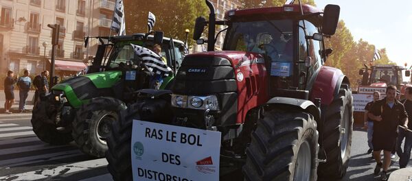 Produtores agrícolas franceses protestam contra a crise no setor agrícola, Paris, França, 2015 (foto de arquivo) - Sputnik Brasil