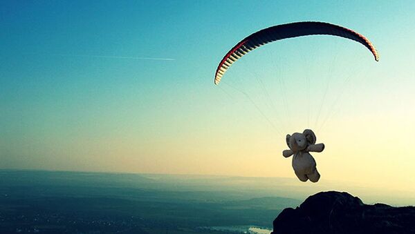 Elefante de pelúcia perdido não tem medo de voar de parapente - Sputnik Brasil