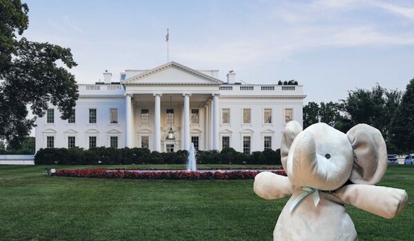 Elefante de pelúcia passeia pelo jardim da Casa Branca a convite de Obama - Sputnik Brasil