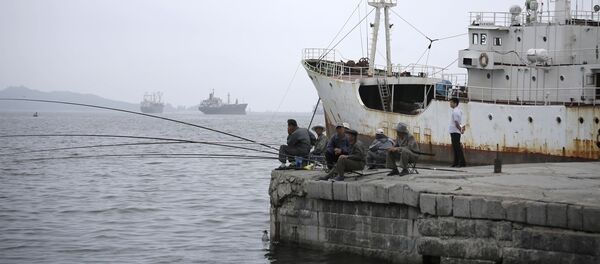 Navio de pesca - Sputnik Brasil