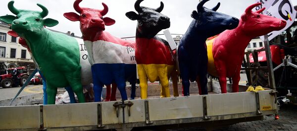 Fake cows brought by dairy farmers staging a demonstration stand in front of the European Parliament during a protest against the end of European milk quotas, in Brussels, March 31, 2015 - Sputnik Brasil