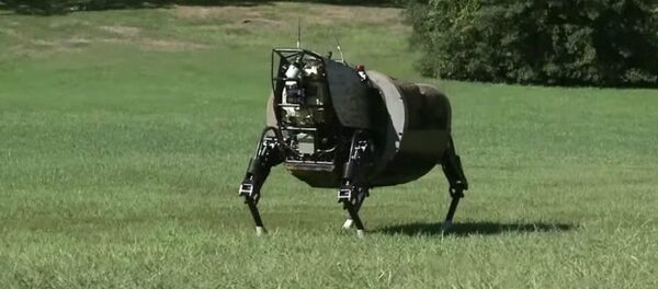 Robô-animal da Marinha dos EUA AlphaDog - Sputnik Brasil
