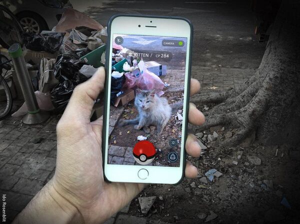 Camapanha israelense utiliza Pokémon Go para promover adoção de animais - Sputnik Brasil