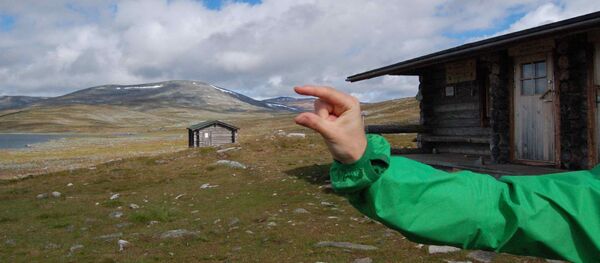 Halti - Sputnik Brasil