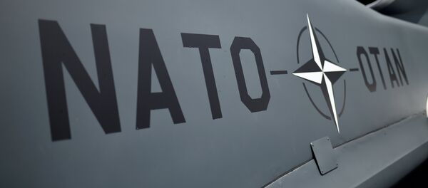 Fuselagem de drone da OTAN, em frente ao estádio nacional onde foi realizada a cúpula da OTAN em Varsóvia, 9 de julho de 2016, Polônia - Sputnik Brasil