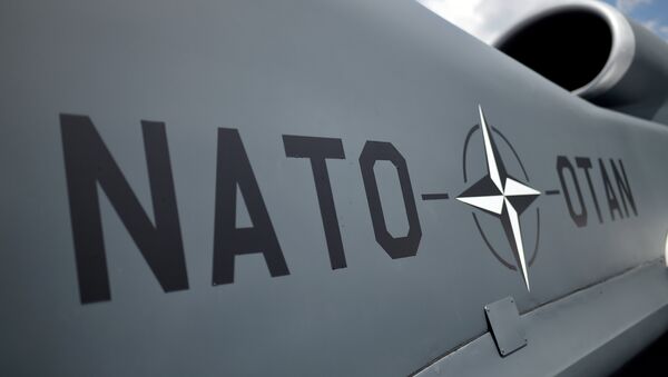 Fuselagem de drone da OTAN, em frente ao estádio nacional onde foi realizada a cúpula da OTAN em Varsóvia, 9 de julho de 2016, Polônia - Sputnik Brasil
