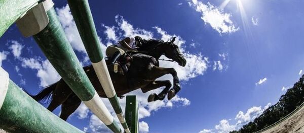 Centro de Imprensa de Hipismo no Rio é atingido por bala perdida - Sputnik Brasil