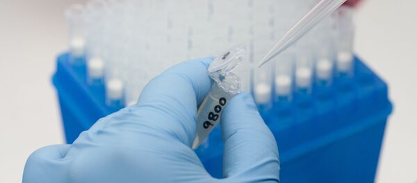 The current Zika outbreak started in Brazil in the spring of 2015 and has since spread across Latin America and the Caribbean. Imported cases were also reported in several European countries and Asia. In February, the World Health Organization declared the Zika virus a global public health emergency. - Sputnik Brasil