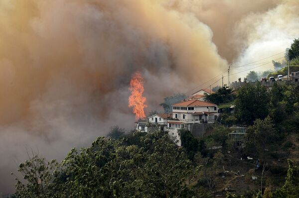 Incêndio florestal avançou para a zona histórica da cidade do Funchal, capital da Ilha da Madeira, em Portugal - Sputnik Brasil
