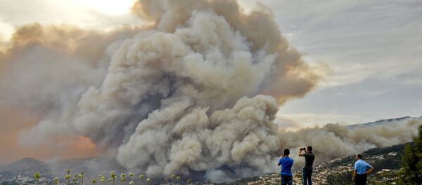 Incêndio florestal avançou para a zona histórica da cidade do Funchal, capital da Ilha da Madeira, em Portugal - Sputnik Brasil