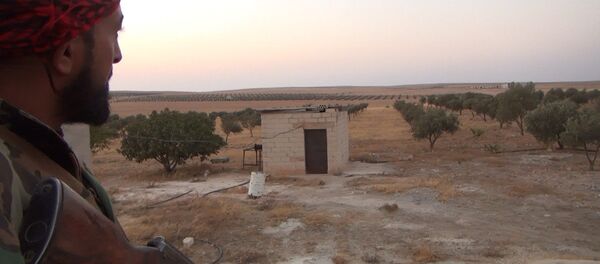 Militar do exército sírio na província de Hama, Síria (foto de arquivo) - Sputnik Brasil