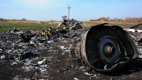 Destroços do voo MH17 da Malaysian Airlines - Sputnik Brasil
