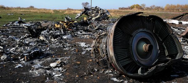 Destroços do voo MH17 da Malaysian Airlines - Sputnik Brasil