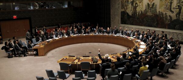Reunião do Conselho da Segurança da ONU em Nova York - Sputnik Brasil