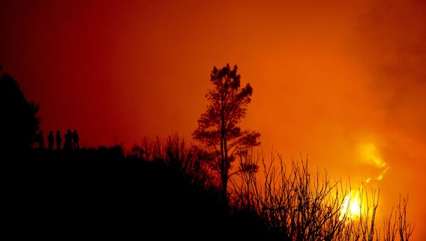 Incêndios em Portugal (foto de arquivo) - Sputnik Brasil