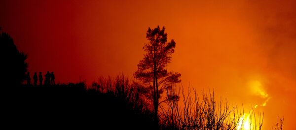 Incêndios em Portugal (foto de arquivo) Incêndios em Portugal (foto de arquivo) - Sputnik Brasil