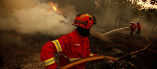 Bombeiro português combate ao incêndio, Agueda, Portugal 12 de agosto 2016 - Sputnik Brasil