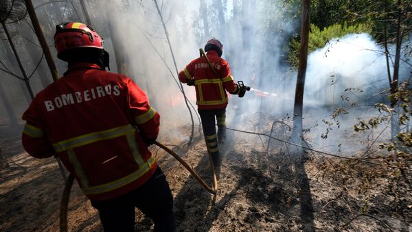 Bombeiros controlam incêndio na Ilha da Madeira, em Portugal - Sputnik Brasil
