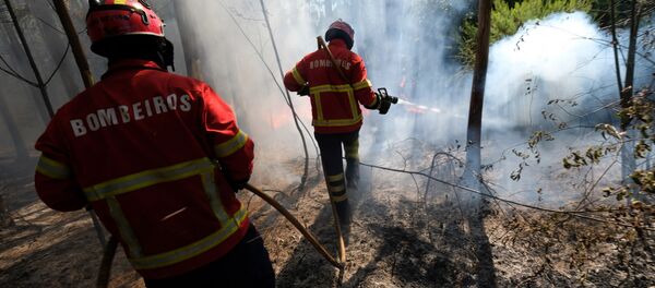 Bombeiros controlam incêndio na Ilha da Madeira, em Portugal - Sputnik Brasil