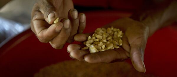 Cafe - Sputnik Brasil