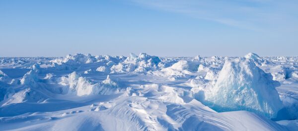 Zona ártica russa - Sputnik Brasil