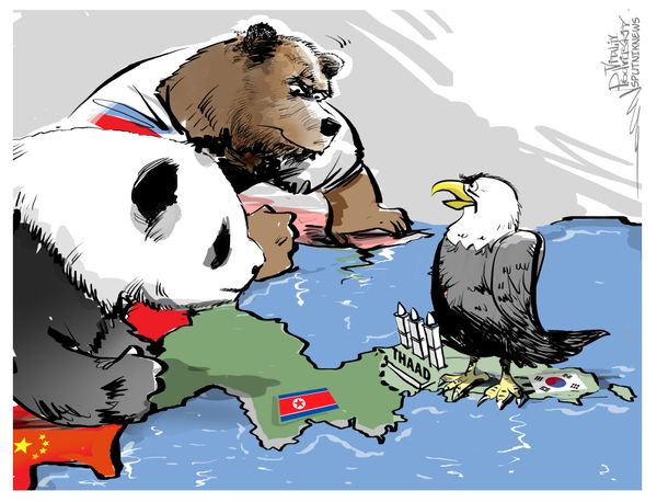 Não será melhor ir embora, passarinho? - Sputnik Brasil