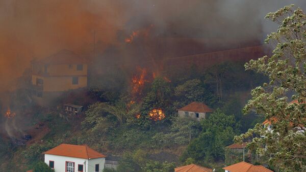 Incêndios florestais em Portugal, Curral dos Romeiros, 9 de agosto de 2016 - Sputnik Brasil