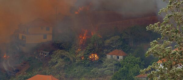 Incêndios florestais em Portugal, Curral dos Romeiros, 9 de agosto de 2016 Incêndios florestais em Portugal, Curral dos Romeiros, 9 de agosto de 2016 - Sputnik Brasil