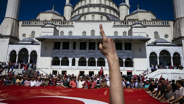Manifestação pró-Erdogan em Istambul - Sputnik Brasil