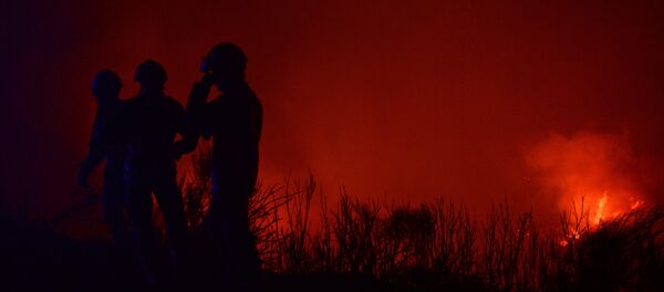 Bombeiros participam da extinção de um incêndio em Calheta, na Madeira - Sputnik Brasil