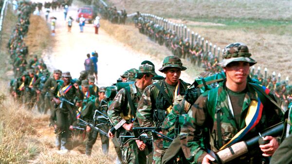 Los militantes de las FARC (archivo) - Sputnik Brasil