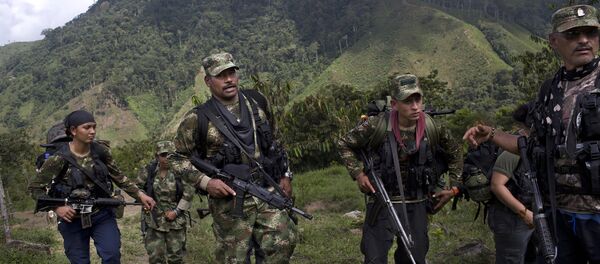 Militantes das FARC na Colômbia Militantes das FARC na Colômbia - Sputnik Brasil