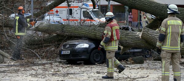 Queda de árvore na Alemanha durante a tempestade Niklas. - Sputnik Brasil
