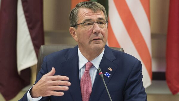 US Secretary of Defense Ashton Carter hosts defense ministers of the Global Coalition to Counter ISIL at Joint Base Andrews in Maryland, July 20, 2016 - Sputnik Brasil
