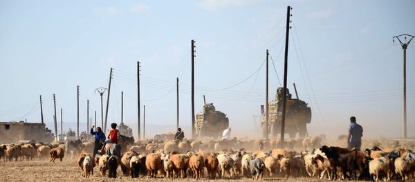 Tropas turcas passam ovelhas no caminho perto de vila de Tuwairan, norte da Síria, 4 de setembro de 2016 - Sputnik Brasil