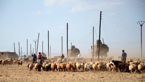 Tropas turcas passam ovelhas no caminho perto de vila de Tuwairan, norte da Síria, 4 de setembro de 2016 - Sputnik Brasil