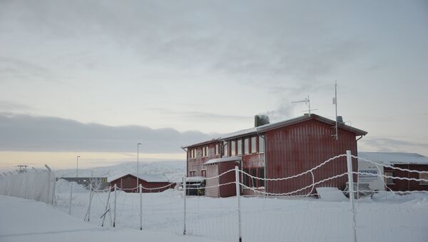 Campo de refugiados em Kirkenes na fronteira com a Rússia, Noruega, janeiro de 2016 - Sputnik Brasil
