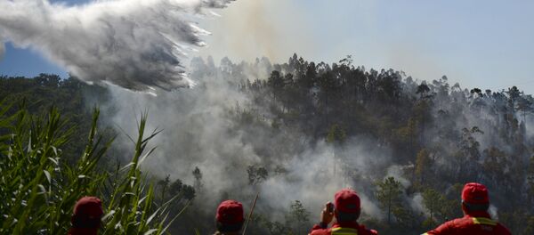 Avião apaga fogo em Portugal, 9 de setembro de 2016 Avião apaga fogo em Portugal, 9 de setembro de 2016 - Sputnik Brasil
