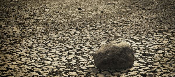 Seca na Califórnia - Sputnik Brasil