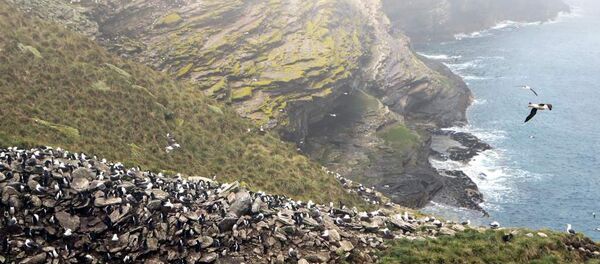 Vista das Ilhas Malvinas Vista das Ilhas Malvinas - Sputnik Brasil