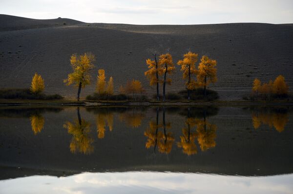 Natureza de Altai - Sputnik Brasil